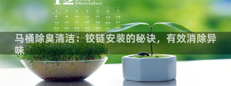 z6尊龙凯时旗：马桶除臭清洁：铰链安装的秘诀，有效消除异