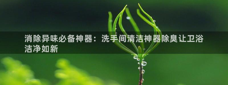 尊龙凯时泰安：消除异味必备神器：洗手间清洁神器除臭让卫浴
