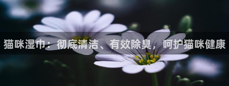 尊龙凯时ag旗舰