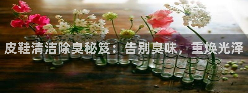 尊龙app登录不了：