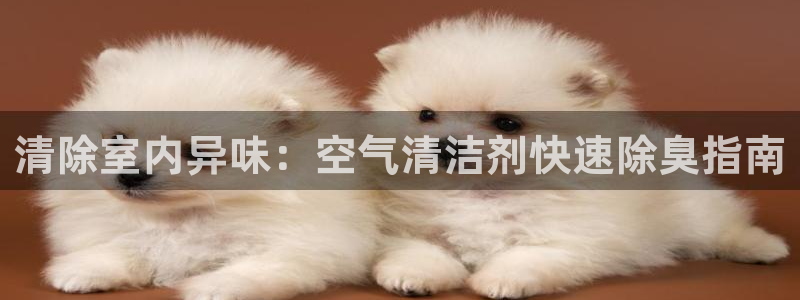 尊龙凯时官网：清除室内异味：空气清洁剂快速除臭指南
