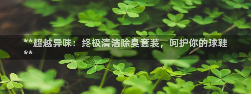 尊龙凯时白家乐：**超越异味：终极清洁除臭套装，呵护你的