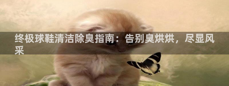 尊龙手机官方客户端下