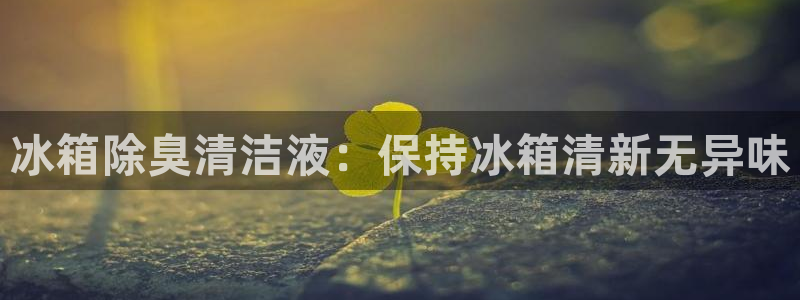 尊龙人生就是博首页入口：冰箱除臭清洁液：保持冰箱清新无异