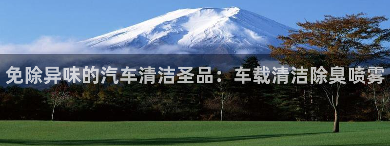 尊龙一人生就是博尊：免除异味的汽车清洁圣品：车载清洁除臭