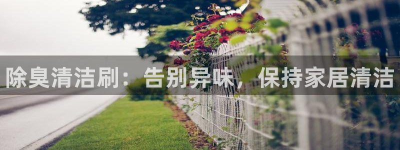 尊龙d88官网登录：除臭清洁刷：告别异味，保持家居清洁