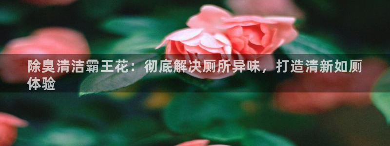 尊龙官网：除臭清洁霸王花：彻底解决厕所异味，打造清新如厕