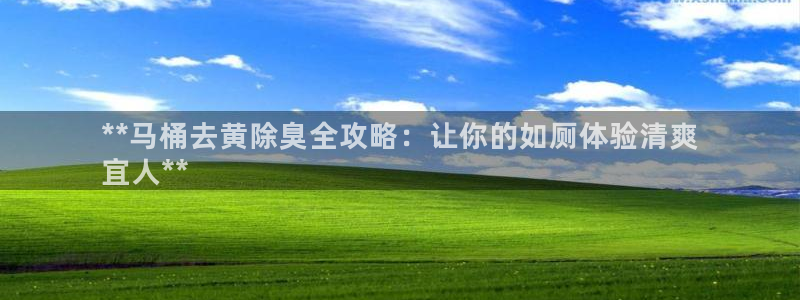 凯时国际app首页登录：**马桶去黄除臭全攻略：让你的如