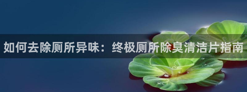 尊龙凯时 人生就是搏 平台：如何去除厕所异味：终极厕所除