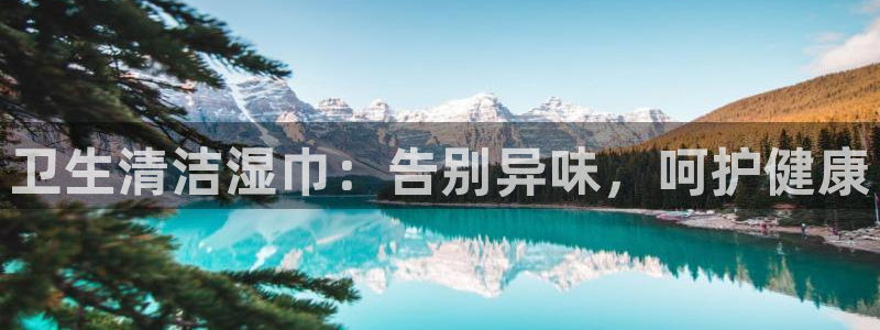 尊龙凯时不给提款：卫生清洁湿巾：告别异味，呵护健康