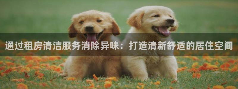 尊龙coming to my own：通过租房清洁服务消