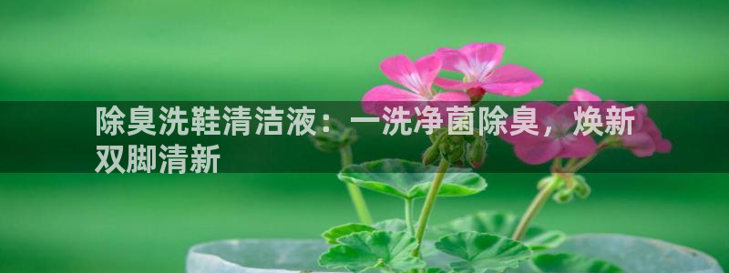 尊龙人生就是博旧版