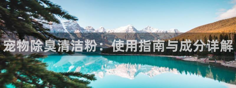 尊龙凯时充十万返现多少：宠物除臭清洁粉：使用指南与成分详