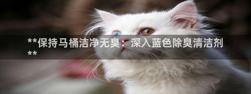 KB88凯时官网