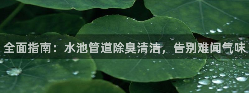 尊龙旗舰店：全面指南：水池管道除臭清洁，告别难闻气味