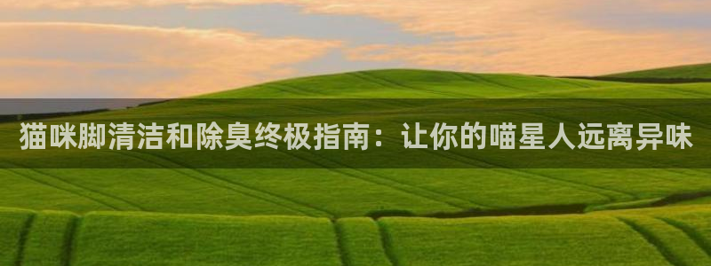 尊龙凯时提款冻卡吗：猫咪脚清洁和除臭终极指南：让你的喵星