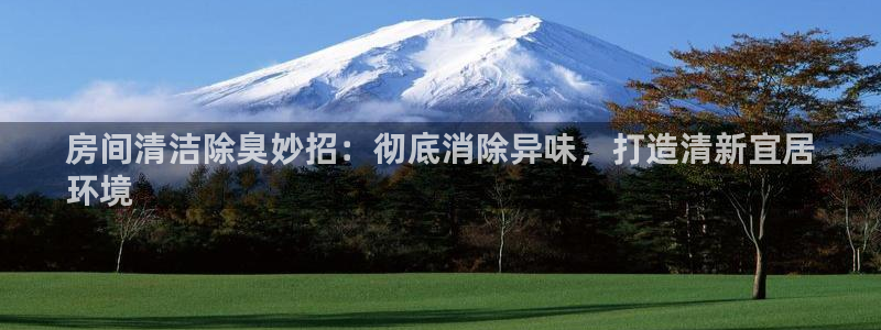 尊龙最新版：房间清洁除臭妙招：彻底消除异味，打造清新宜居