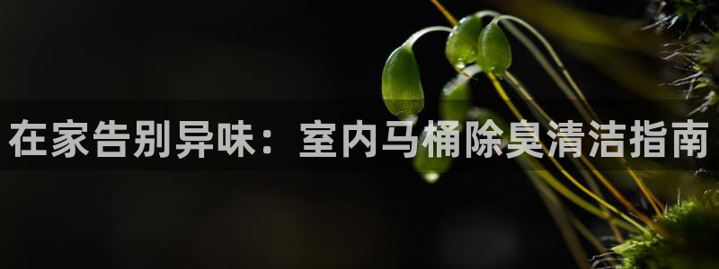 尊龙凯时 人生就是搏：在家告别异味：室内马桶除臭清洁指南