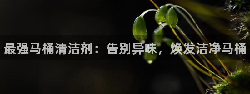尊龙凯时平台还是万博好：最强马桶清洁剂：告别异味，焕发洁