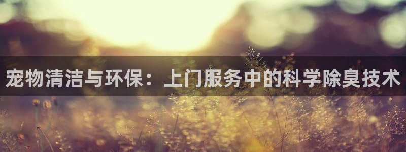 尊龙官网在哪里