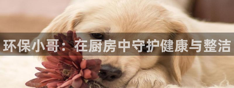 尊龙凯时·中国官方网站