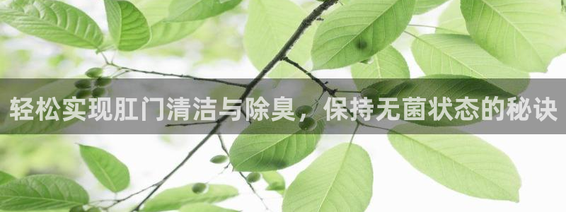 尊龙凯时美金能提取吗