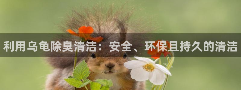 尊龙凯时人生就是搏·(中国)官网