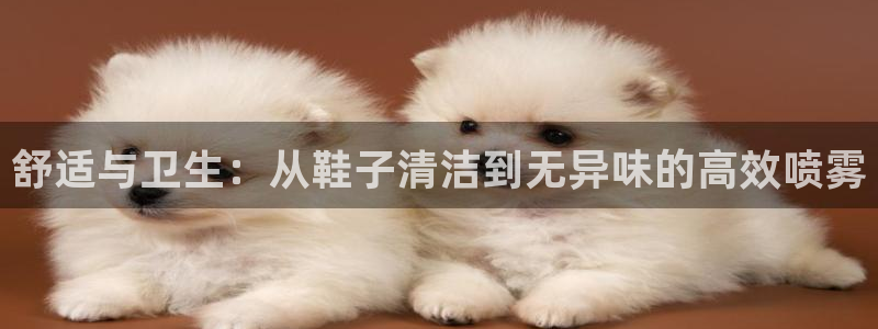 凯时kb88·中国官方网站