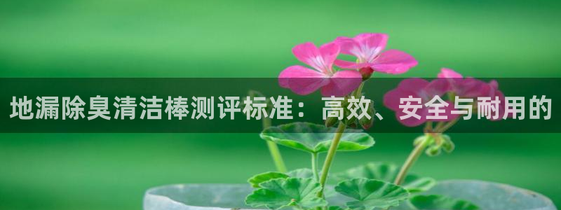 尊龙凯时处理未到账