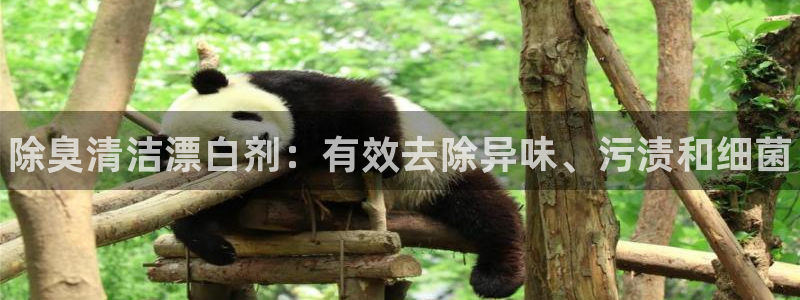 d88尊龙手机客户端下载