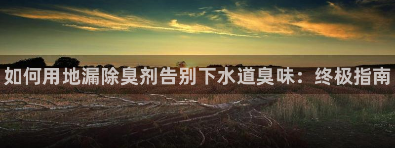 尊龙人生就是博一下下：如何用地漏除臭剂告别下水道臭味：终