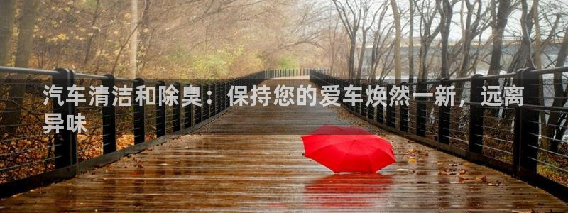 尊龙官方：汽车清洁和除臭：保持您的爱车焕然一新，远离
异
