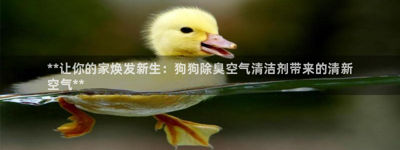 尊龙官方平台是正品吗