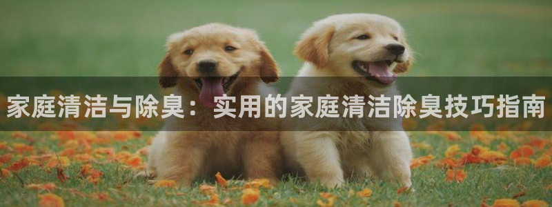 ag旗舰平台尊龙代言