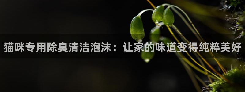 尊龙d88ag旗舰厅