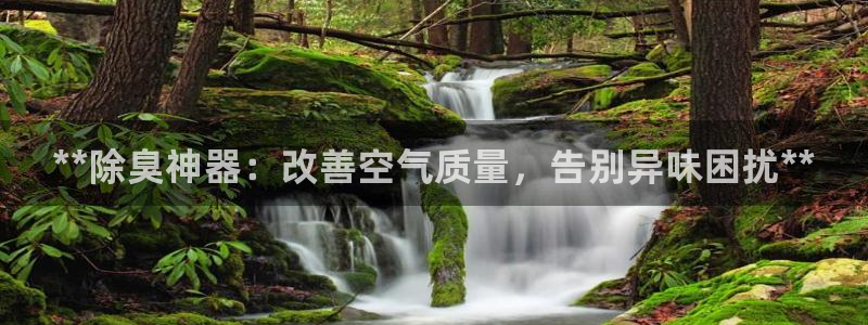 尊龙凯时人生就是博中国官网：**除臭神器：改善空气质量，