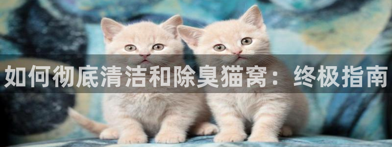 凯时国际最新：如何彻