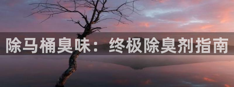 尊龙人生就是博旧版：