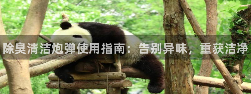 尊龙人生就是博首页：除臭清洁炮弹使用指南：告别异味，重获