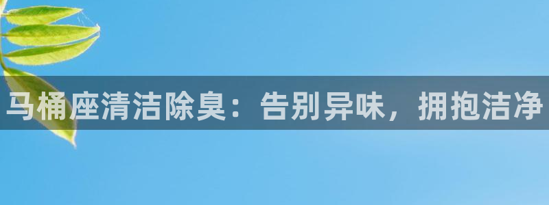 Ag尊龙平台：马桶座清洁除臭：告别异味，拥抱洁净