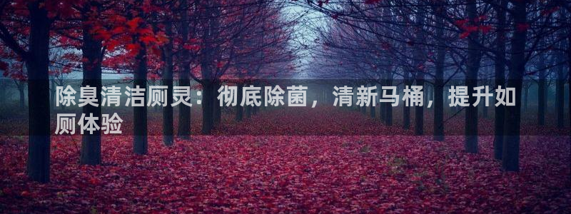 尊龙手机客户端app