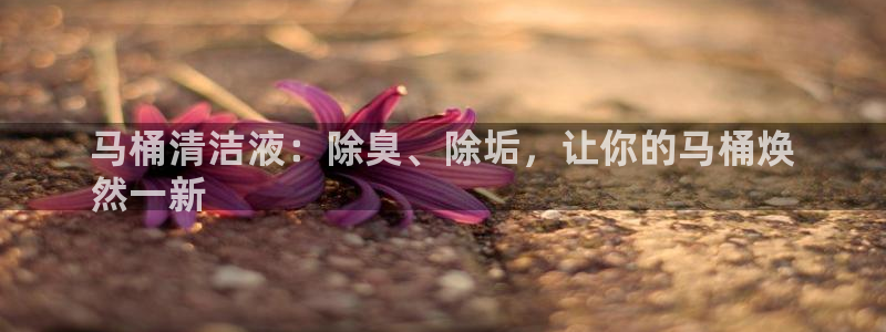 尊龙ag旗舰厅登录 租车app下载：马桶清洁液：除臭、除