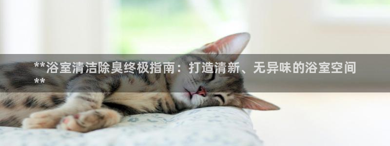 尊龙手机客户端下载：