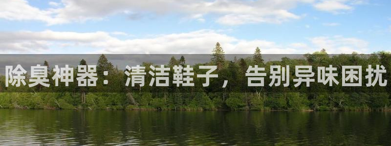 尊龙t600：除臭神器：清洁鞋子，告别异味困扰