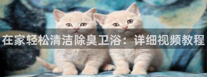 尊龙人生就是博官方官