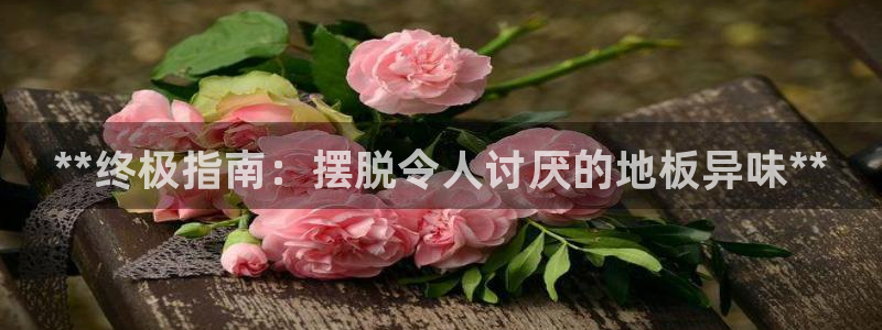 尊龙人生手机版都去a