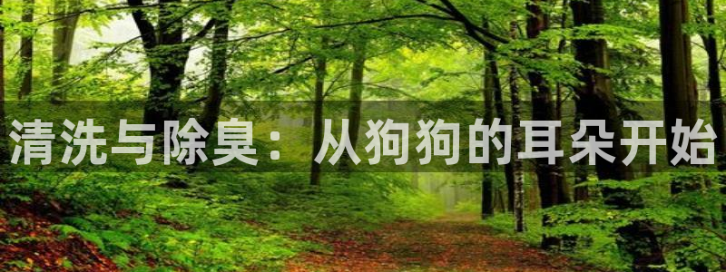 尊龙旗舰厅app：清