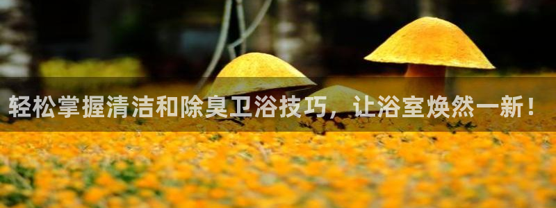 尊龙人生就是博官