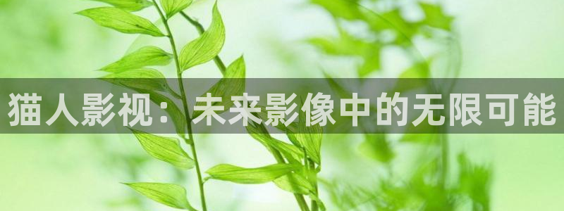 麻花视频怎么免费观看