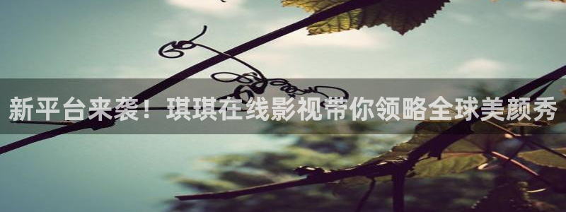 麻花视频在线观看电视剧